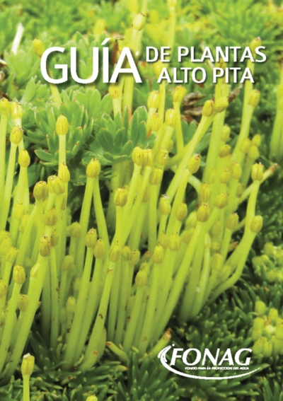 Guía de plantas de Alto Pita