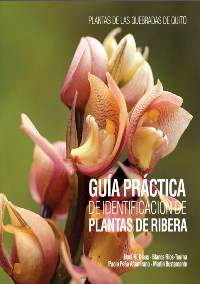 Guía práctica de identificación de plantas de ribera