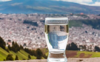 ¿Por qué celebramos el Día Mundial del Agua?